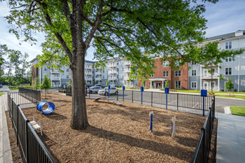 Leash free dog park